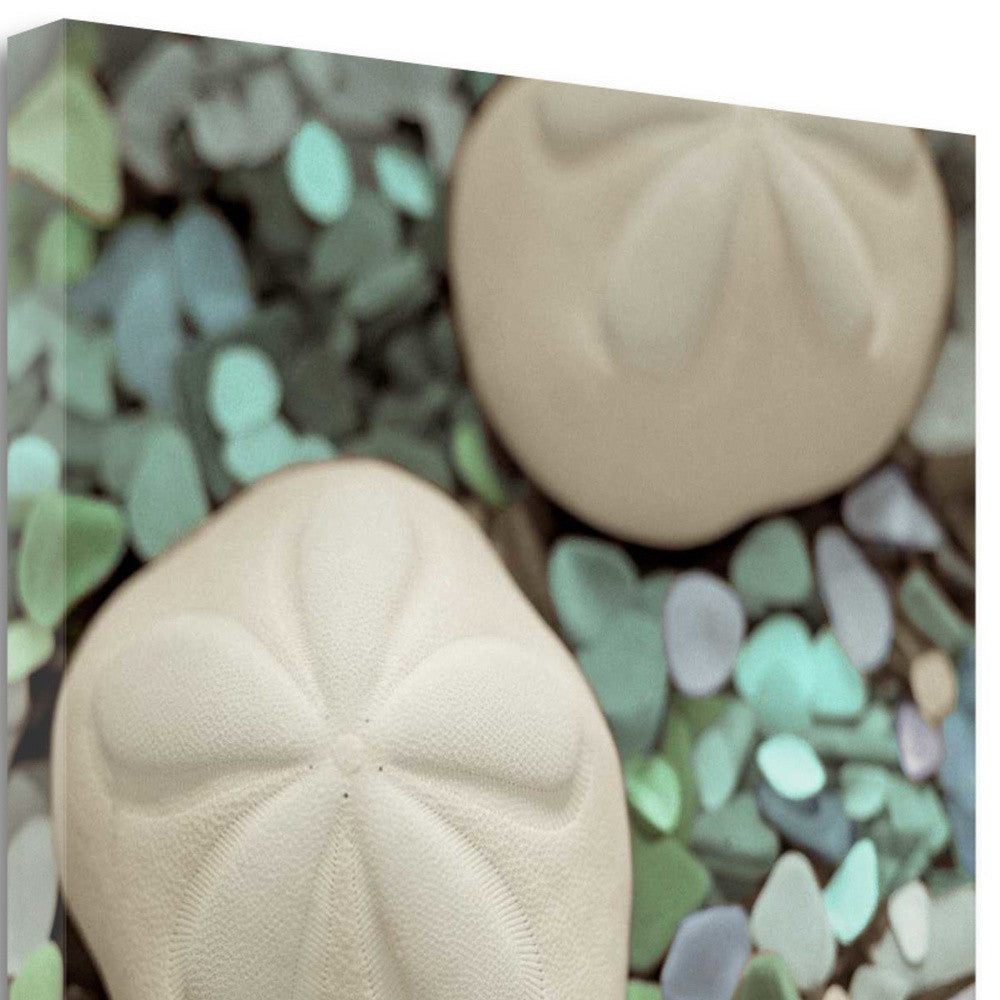 HomeRoots 12" Two Sandollars and Seaglass 2 Giclee Wrap Canvas Wall Art