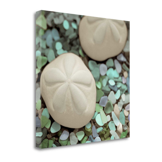 HomeRoots 12" Two Sandollars and Seaglass 2 Giclee Wrap Canvas Wall Art