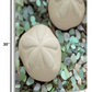 HomeRoots 12" Two Sandollars and Seaglass 3 Giclee Wrap Canvas Wall Art
