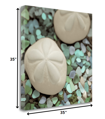 HomeRoots 12" Two Sandollars and Seaglass 4 Giclee Wrap Canvas Wall Art