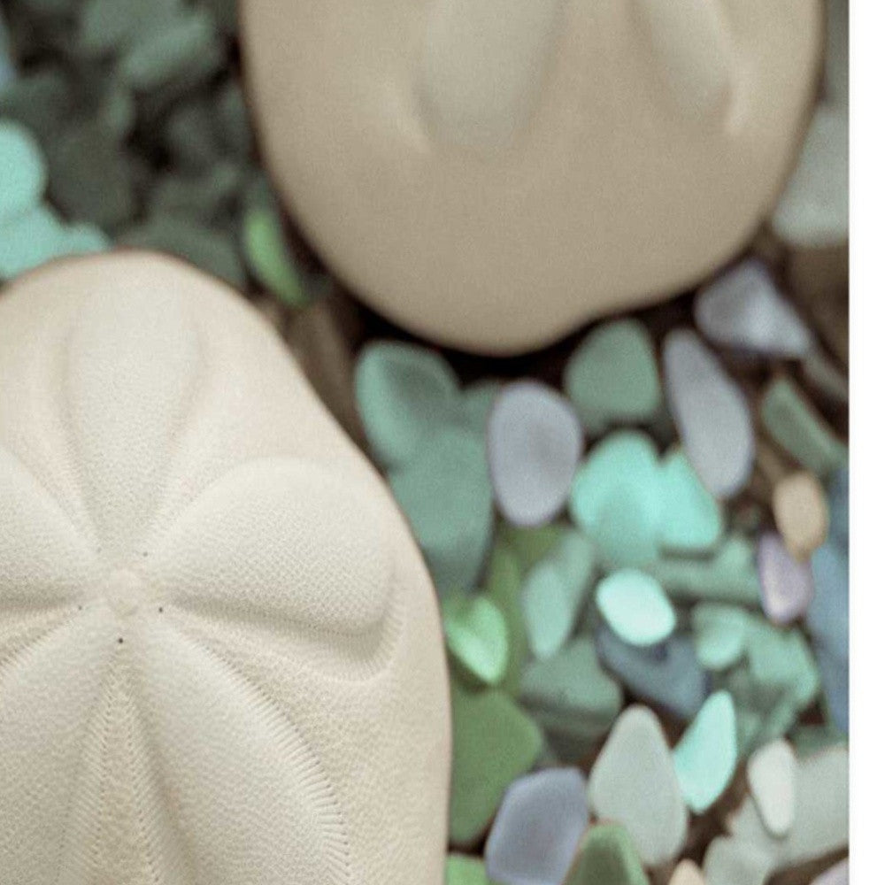 HomeRoots 12" Two Sandollars and Seaglass 4 Giclee Wrap Canvas Wall Art