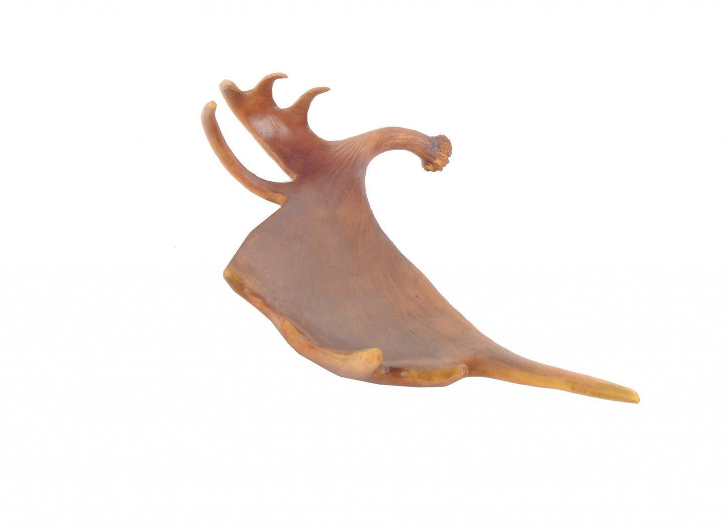 HomeRoots 12" x 23.5" x 6.5" Deer Antler Tray