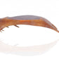 HomeRoots 12" x 23.5" x 6.5" Deer Antler Tray
