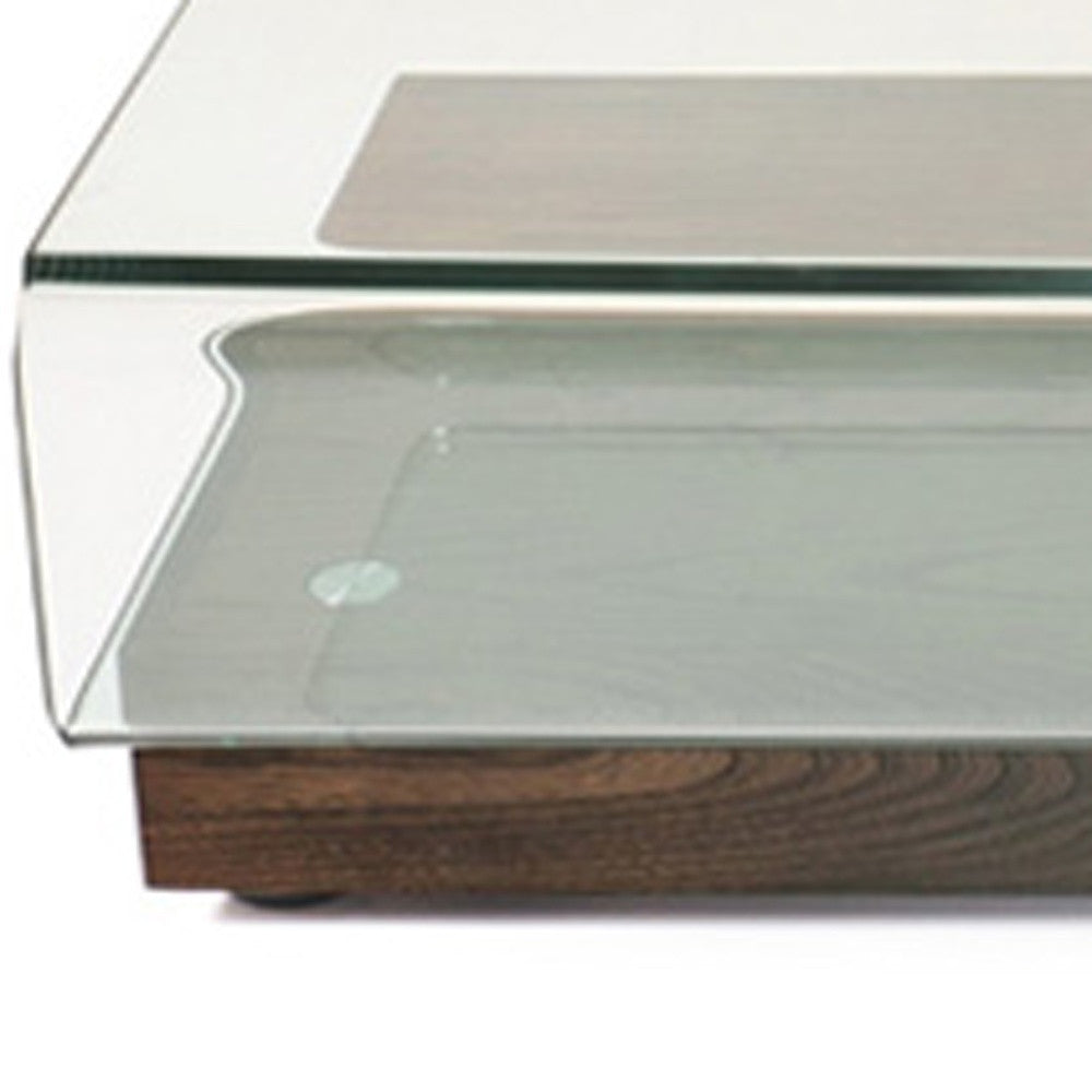 HomeRoots 13" Elm Veneer and Glass Coffee Table