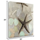 HomeRoots 13" Four Starfish and Faded Seaglass 1 Giclee Wrap Canvas Wall Art