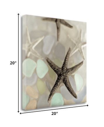 HomeRoots 13" Four Starfish and Faded Seaglass 1 Giclee Wrap Canvas Wall Art