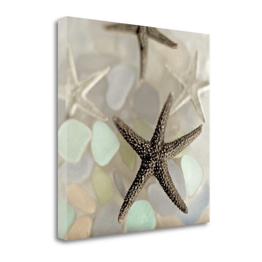 HomeRoots 13" Four Starfish and Faded Seaglass 1 Giclee Wrap Canvas Wall Art
