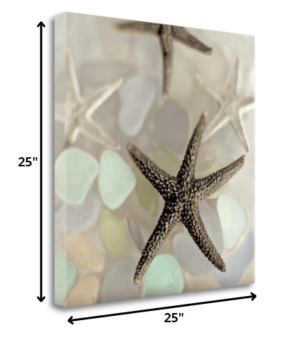 HomeRoots 13" Four Starfish and Faded Seaglass 2 Giclee Wrap Canvas Wall Art