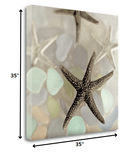 HomeRoots 13" Four Starfish and Faded Seaglass 4 Giclee Wrap Canvas Wall Art