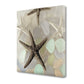 HomeRoots 13" Four Starfish and Faded Seaglass 4 Giclee Wrap Canvas Wall Art