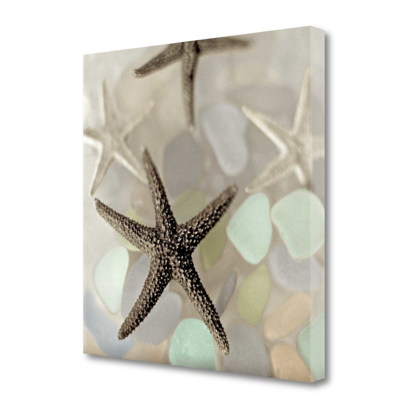 HomeRoots 13" Four Starfish and Faded Seaglass 4 Giclee Wrap Canvas Wall Art
