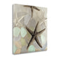 HomeRoots 13" Four Starfish and Faded Seaglass 4 Giclee Wrap Canvas Wall Art