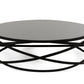 HomeRoots 13" Metal and Glass Coffee Table in Black Finish