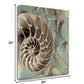 HomeRoots 14" Snailshell and Seaglass 1 Giclee Wrap Canvas Wall Art