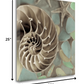 HomeRoots 14" Snailshell and Seaglass 2 Giclee Wrap Canvas Wall Art