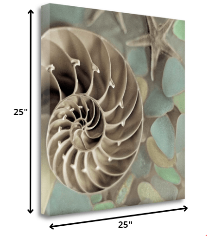 HomeRoots 14" Snailshell and Seaglass 2 Giclee Wrap Canvas Wall Art