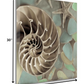 HomeRoots 14" Snailshell and Seaglass 3 Giclee Wrap Canvas Wall Art