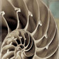 HomeRoots 14" Snailshell and Seaglass 3 Giclee Wrap Canvas Wall Art