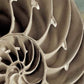 HomeRoots 14" Snailshell and Seaglass 3 Giclee Wrap Canvas Wall Art