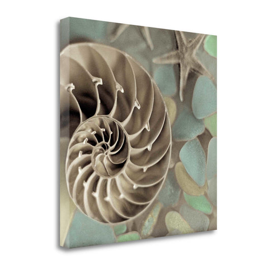 HomeRoots 14" Snailshell and Seaglass 3 Giclee Wrap Canvas Wall Art