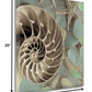 HomeRoots 14" Snailshell and Seaglass 4 Giclee Wrap Canvas Wall Art