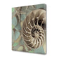 HomeRoots 14" Snailshell and Seaglass 4 Giclee Wrap Canvas Wall Art