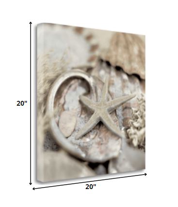 HomeRoots 15" Sandy Starfish and Seashells 1 Giclee Wrap Canvas Wall Art
