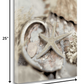 HomeRoots 15" Sandy Starfish and Seashells 2 Giclee Wrap Canvas Wall Art