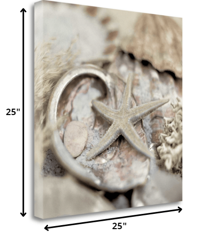 HomeRoots 15" Sandy Starfish and Seashells 2 Giclee Wrap Canvas Wall Art