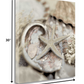 HomeRoots 15" Sandy Starfish and Seashells 3 Giclee Wrap Canvas Wall Art