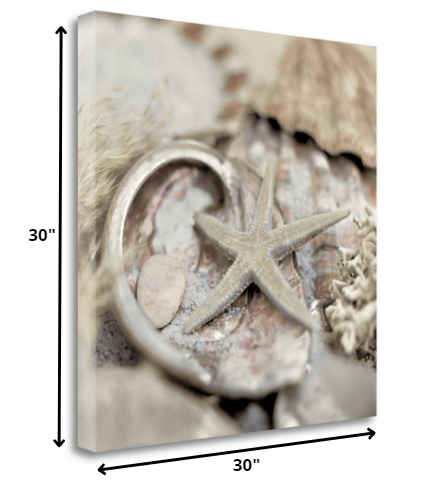 HomeRoots 15" Sandy Starfish and Seashells 3 Giclee Wrap Canvas Wall Art