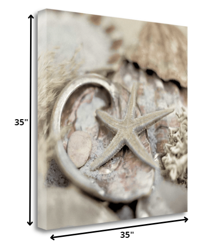 HomeRoots 15" Sandy Starfish and Seashells 3 Giclee Wrap Canvas Wall Art