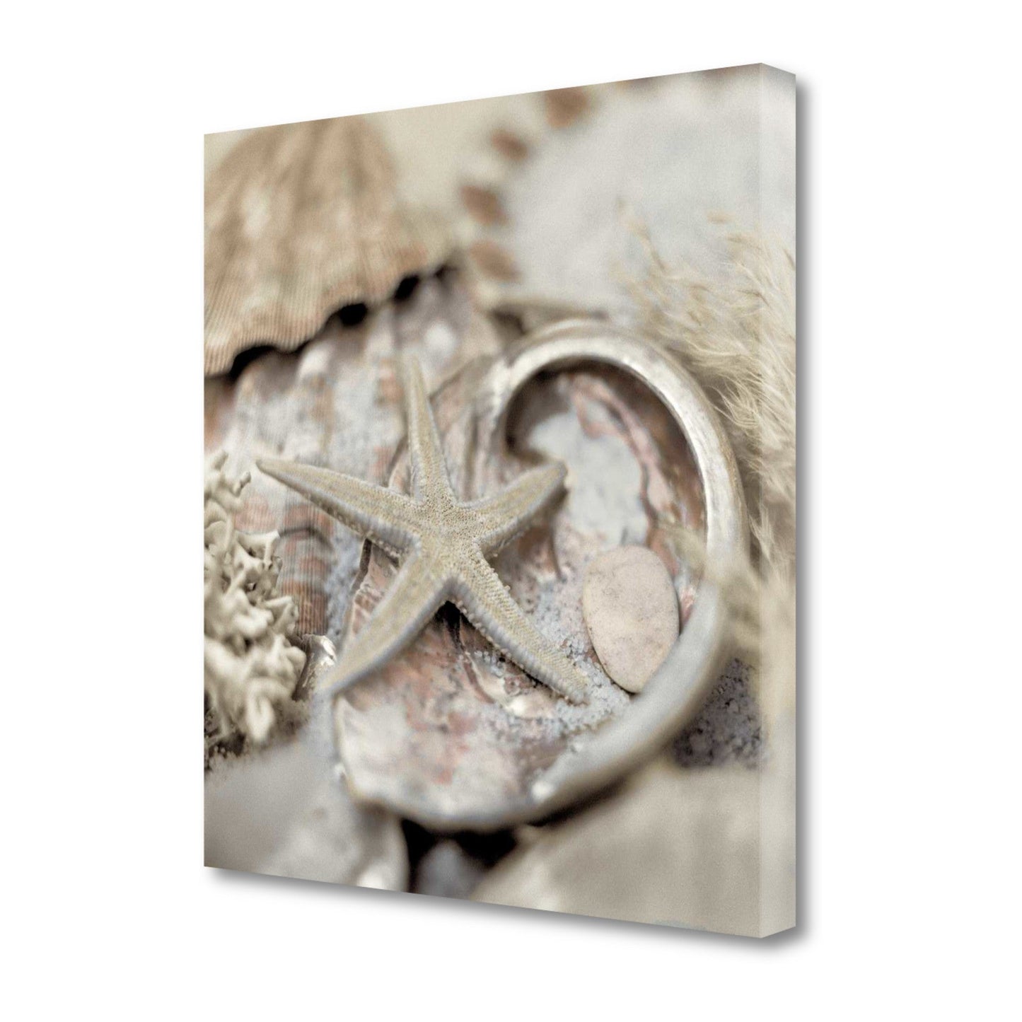 HomeRoots 15" Sandy Starfish and Seashells 3 Giclee Wrap Canvas Wall Art
