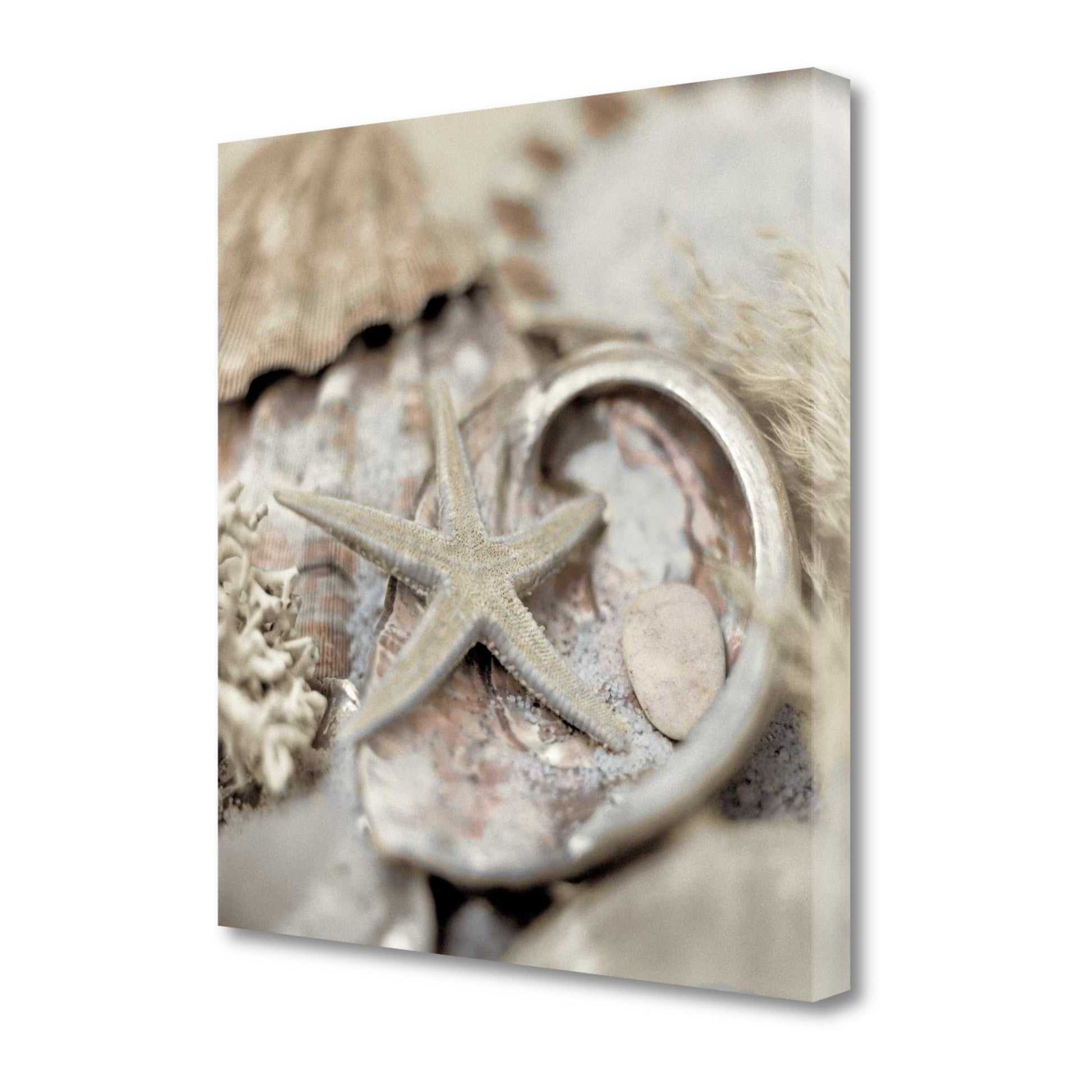 HomeRoots 15" Sandy Starfish and Seashells 3 Giclee Wrap Canvas Wall Art