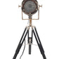 HomeRoots 15.5" x 15.5" x 29" Alum Spot Light On Wooden Stand