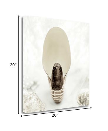 HomeRoots 16" Seashell Bulb 1 Giclee Wrap Canvas Wall Art