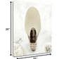 HomeRoots 16" Seashell Bulb 2 Giclee Wrap Canvas Wall Art