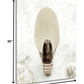 HomeRoots 16" Seashell Bulb 3 Giclee Wrap Canvas Wall Art