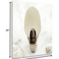HomeRoots 16" Seashell Bulb 4 Giclee Wrap Canvas Wall Art