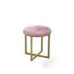 HomeRoots 17" Pink Tufted Velvet Stool With Gold Base Finish