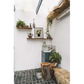 HomeRoots 17" x 22" Contemporary Botanical Wall Art