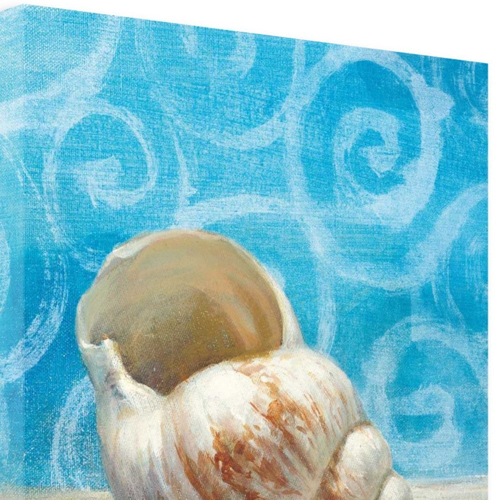 HomeRoots 18" Mod Blue Scroll Coastal Conch 1 Giclee Wrap Canvas Wall Art