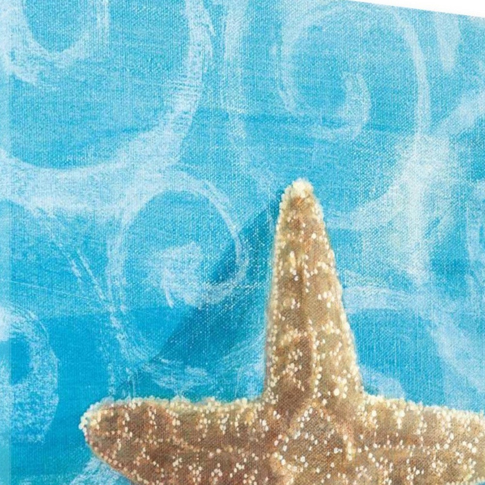 HomeRoots 18" Mod Blue Scroll Coastal Conch 3 Giclee Wrap Canvas Wall Art