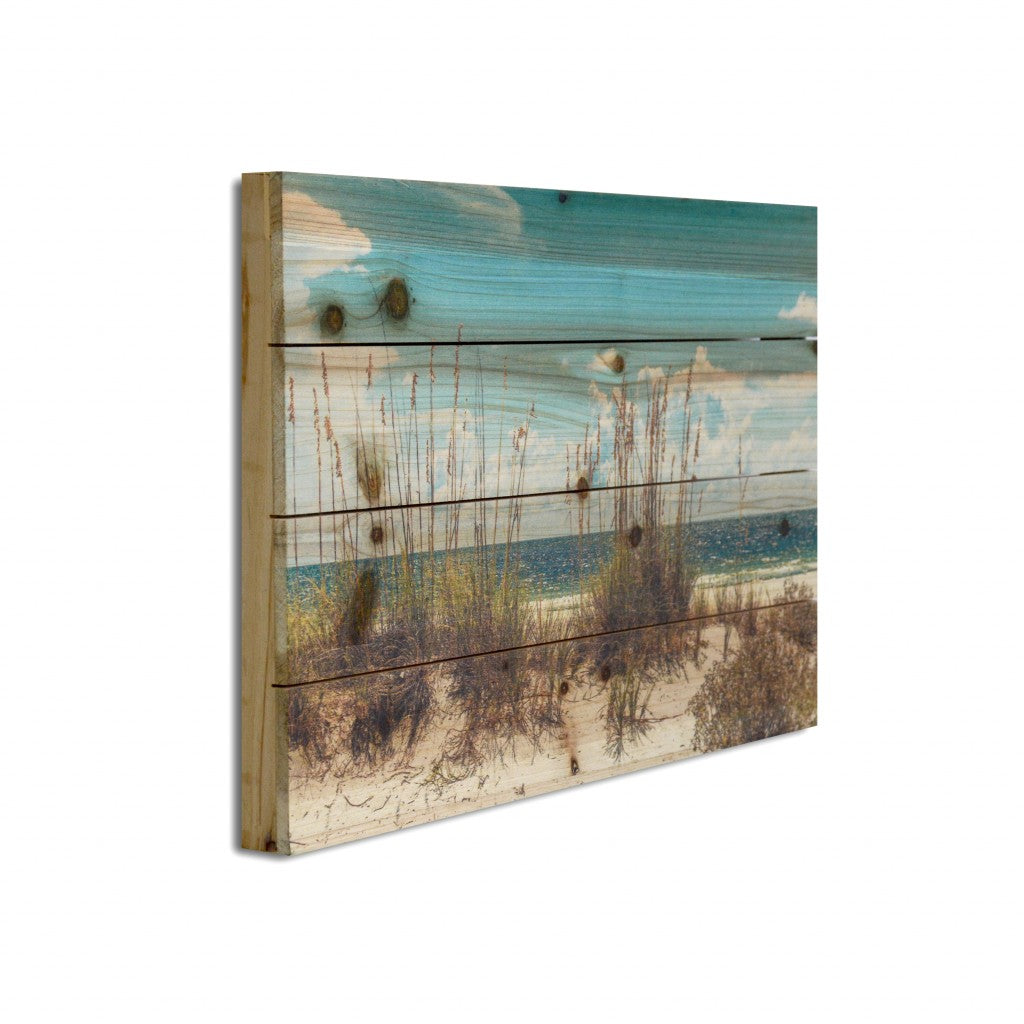 HomeRoots 18" Ocean Sand Dunes Wood Plank Wall Art