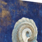 HomeRoots 18" Rustic Deep Blue and Gold Conch Giclee Wrap Canvas Wall Art