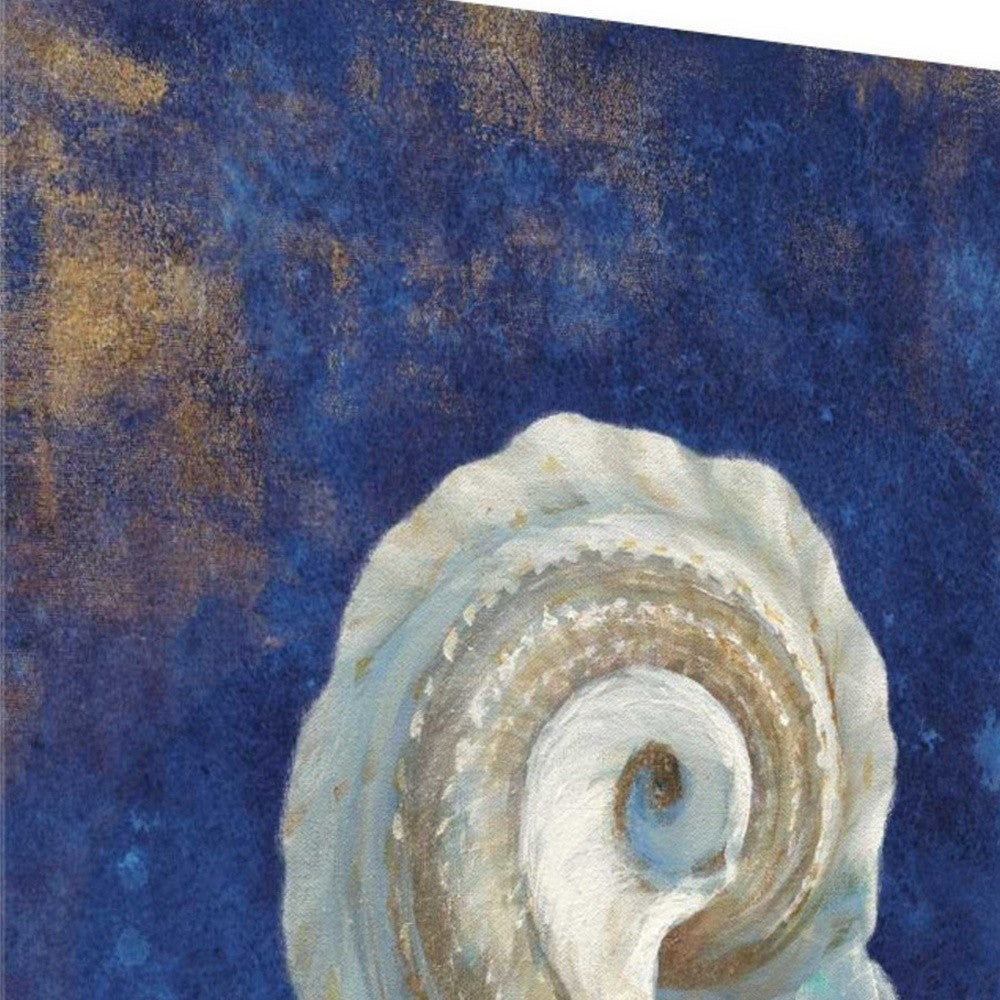 HomeRoots 18" Rustic Deep Blue and Gold Conch Giclee Wrap Canvas Wall Art