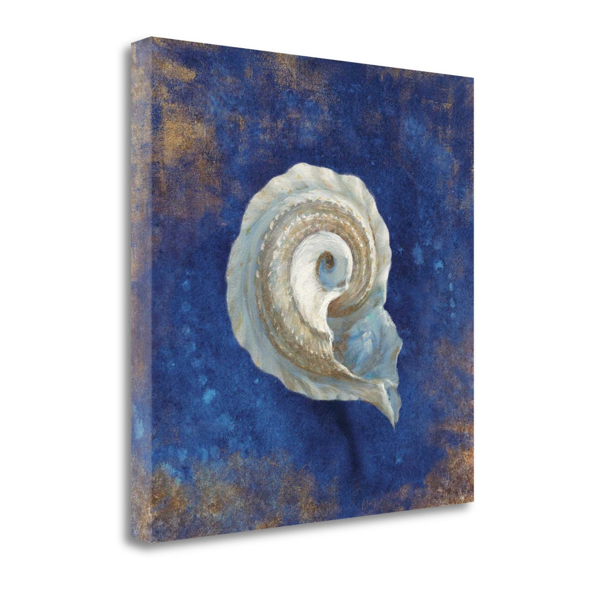 HomeRoots 18" Rustic Deep Blue and Gold Conch Giclee Wrap Canvas Wall Art