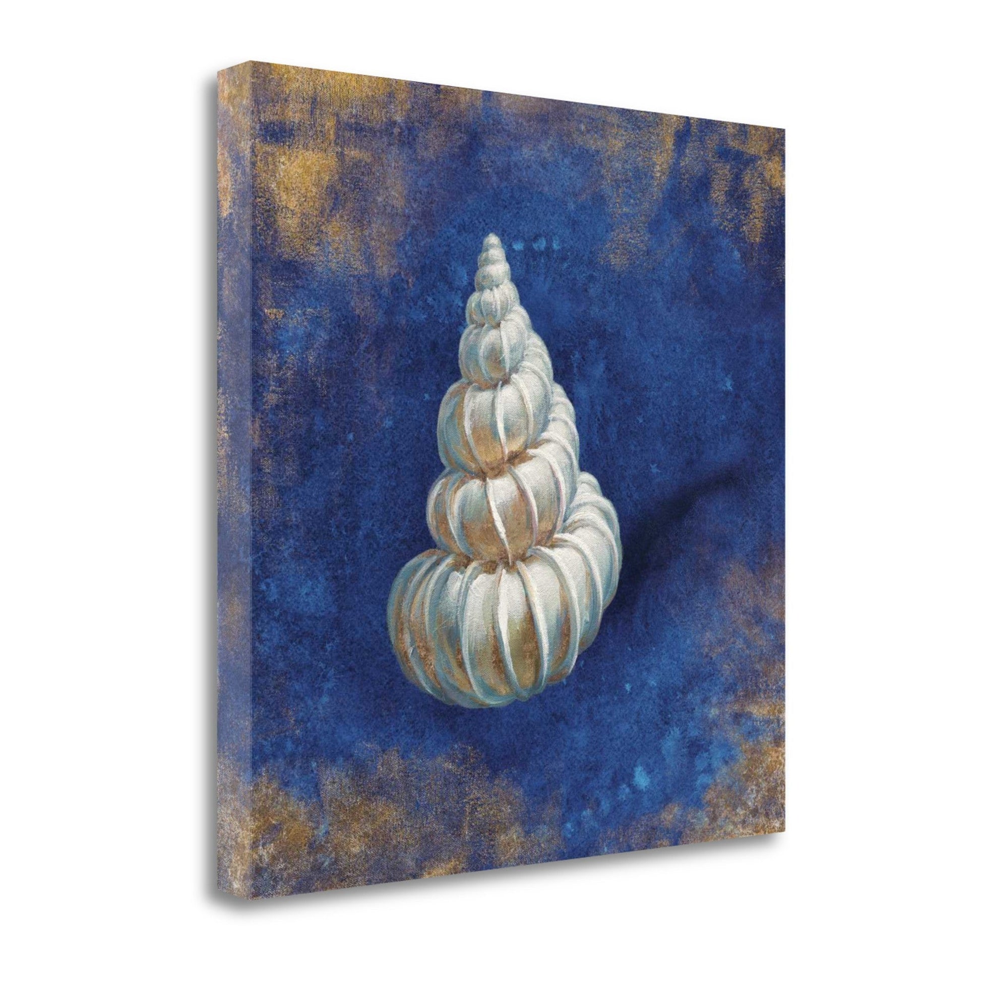 HomeRoots 18" Rustic Deep Blue and Gold Shell Giclee Wrap Canvas Wall Art