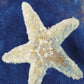 HomeRoots 18" Rustic Deep Blue and Gold Starfish Giclee Wrap Canvas Wall Art