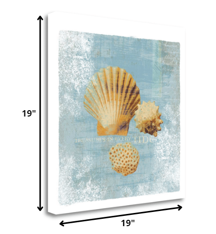HomeRoots 19" Blue Seashell Treasures Giclee Wrap Canvas Wall Art